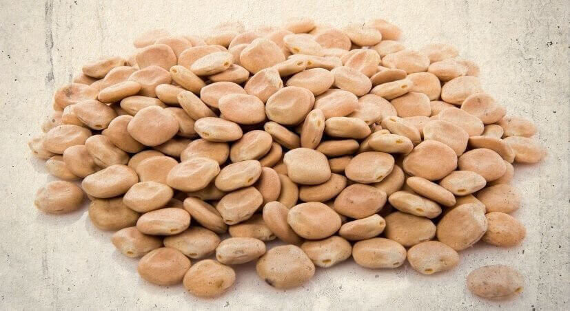 Dried lupins