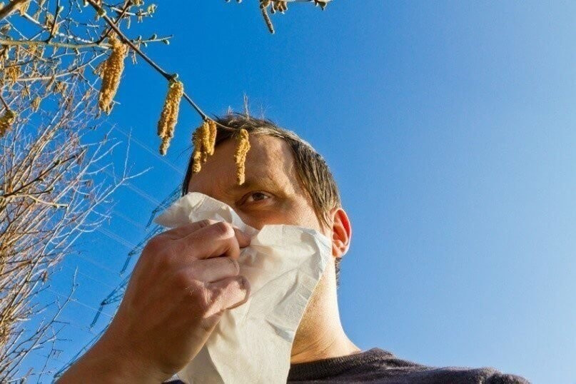 Nasen Pollen