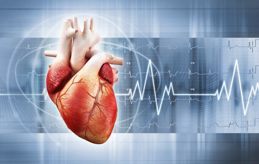 heart health fitness concept
