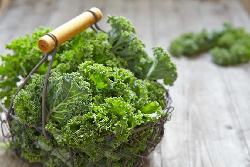 Federkohl im Körbchen