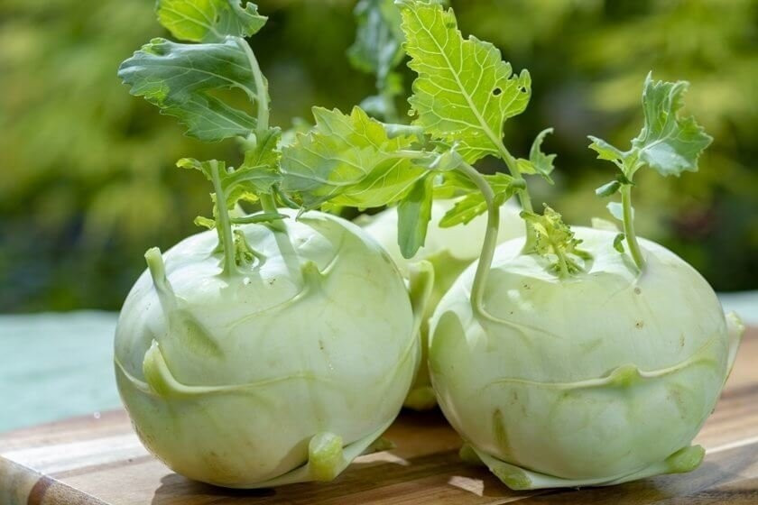 Kohlrabi