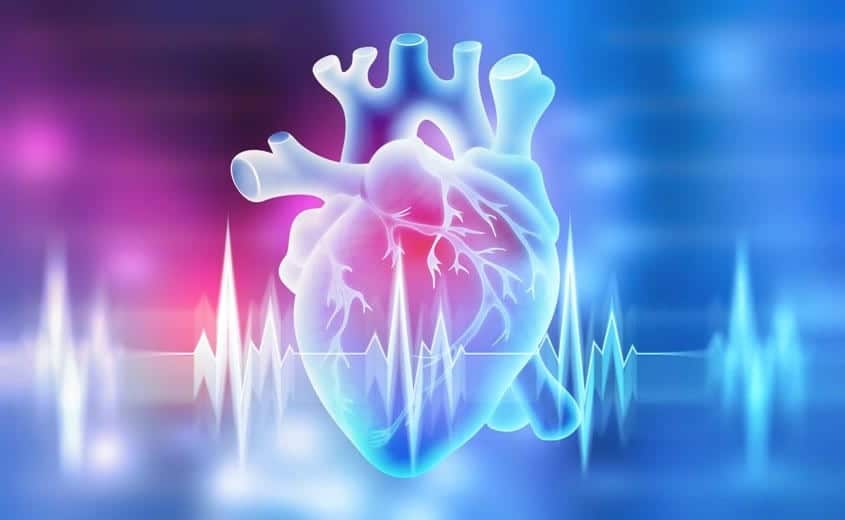 Blutdruck Ist Ihr Herz im Takt?