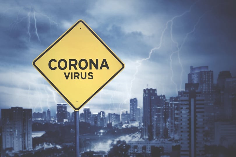 Corona Virus Sturm AdobeStock 374836093
