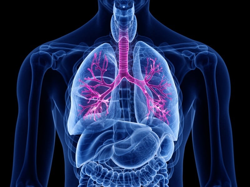 Bronchitis Broncho Protect Lunge Bild AdobeStock Urheber SciePro
