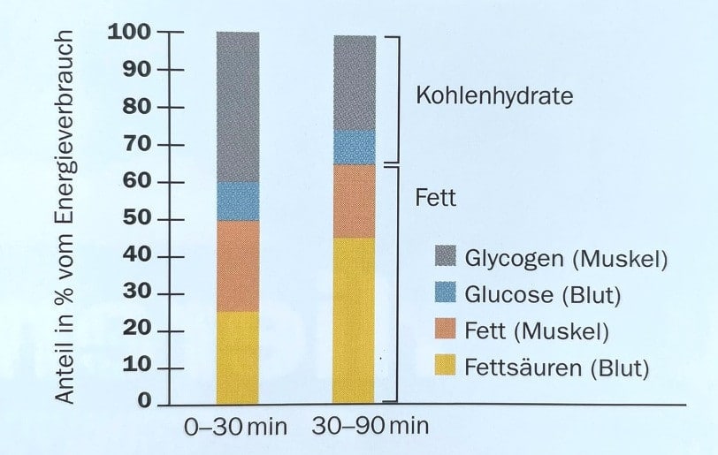 Fettverbrennung Statistik