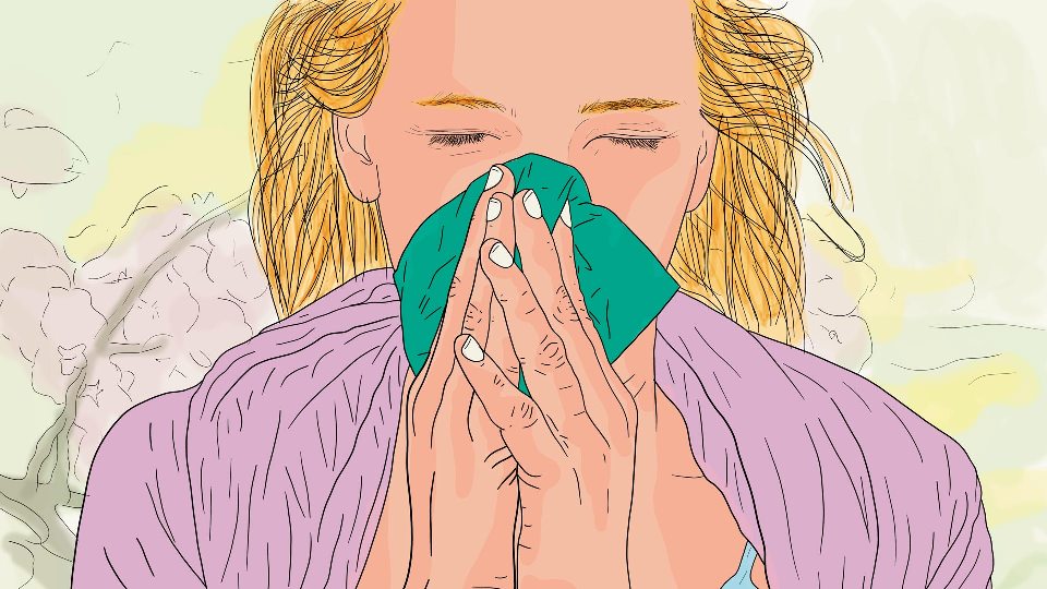Frau niest und hat Heuschnupfen Allergie