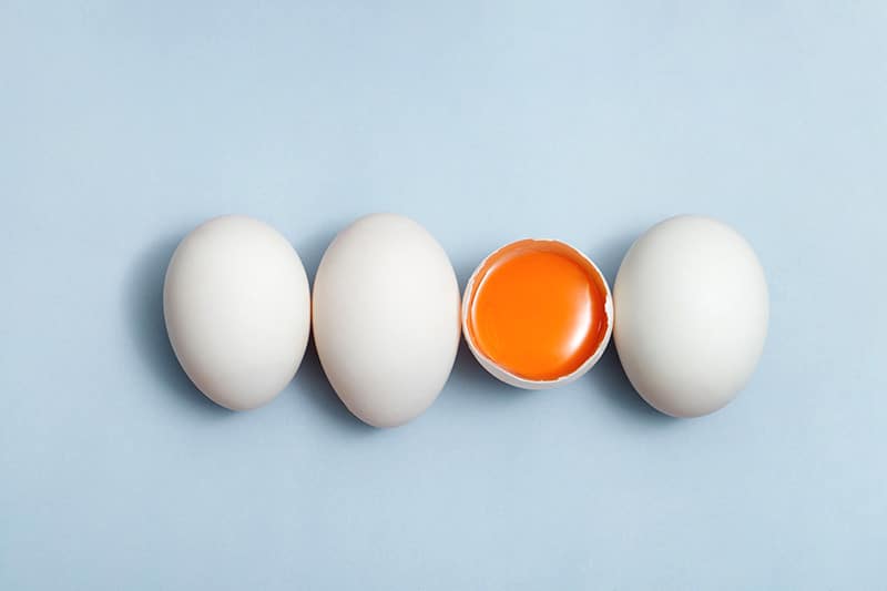 Top view egg yolk and egg white high protein good for body blue|Eier EiertartarmitSpinat bc78509271|Eier gemuese frittata low carb 390f8b3784|Eier PochierteEieraufLauchgemuese a19896fbe4|Schweizer Ei Kombination Schweiz Natuerlich