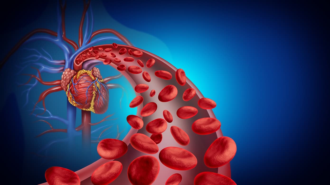 Fliessendes Blut in Vene Richtung Herz