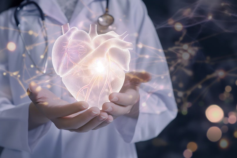 World heart day. Doctor hands holding healthy heart organ anatomy. Heart disease Awarness, heart transplant or organ donation concept. Cardiological checkup and treatment.