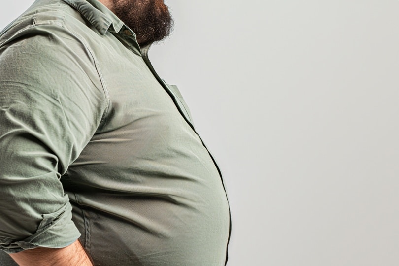 Close up of fat belly of heavily obese man in ogreen shirt on white background