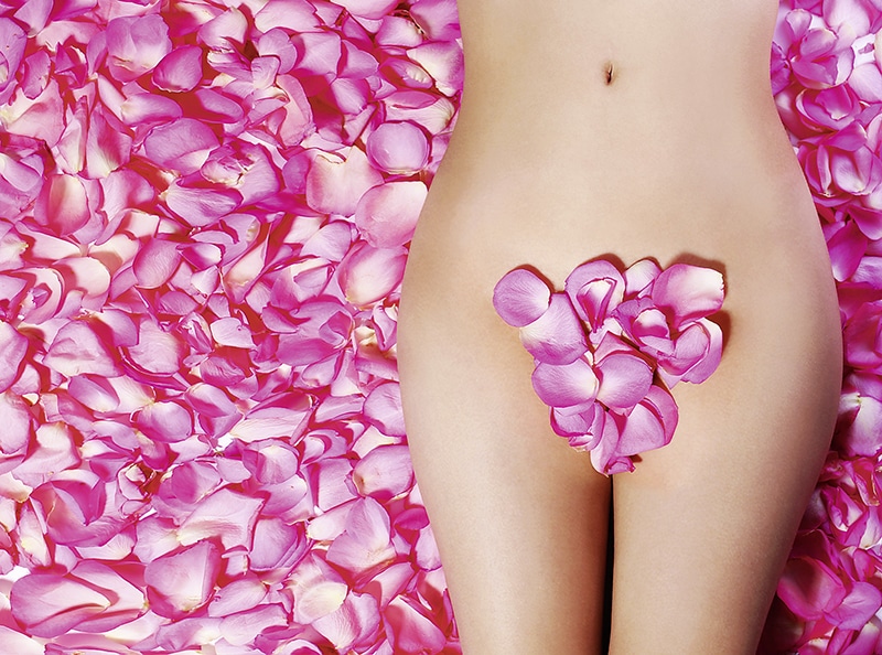 Petals of Pink Roses on woman's body. Concept of Waxing. Bikini Zone