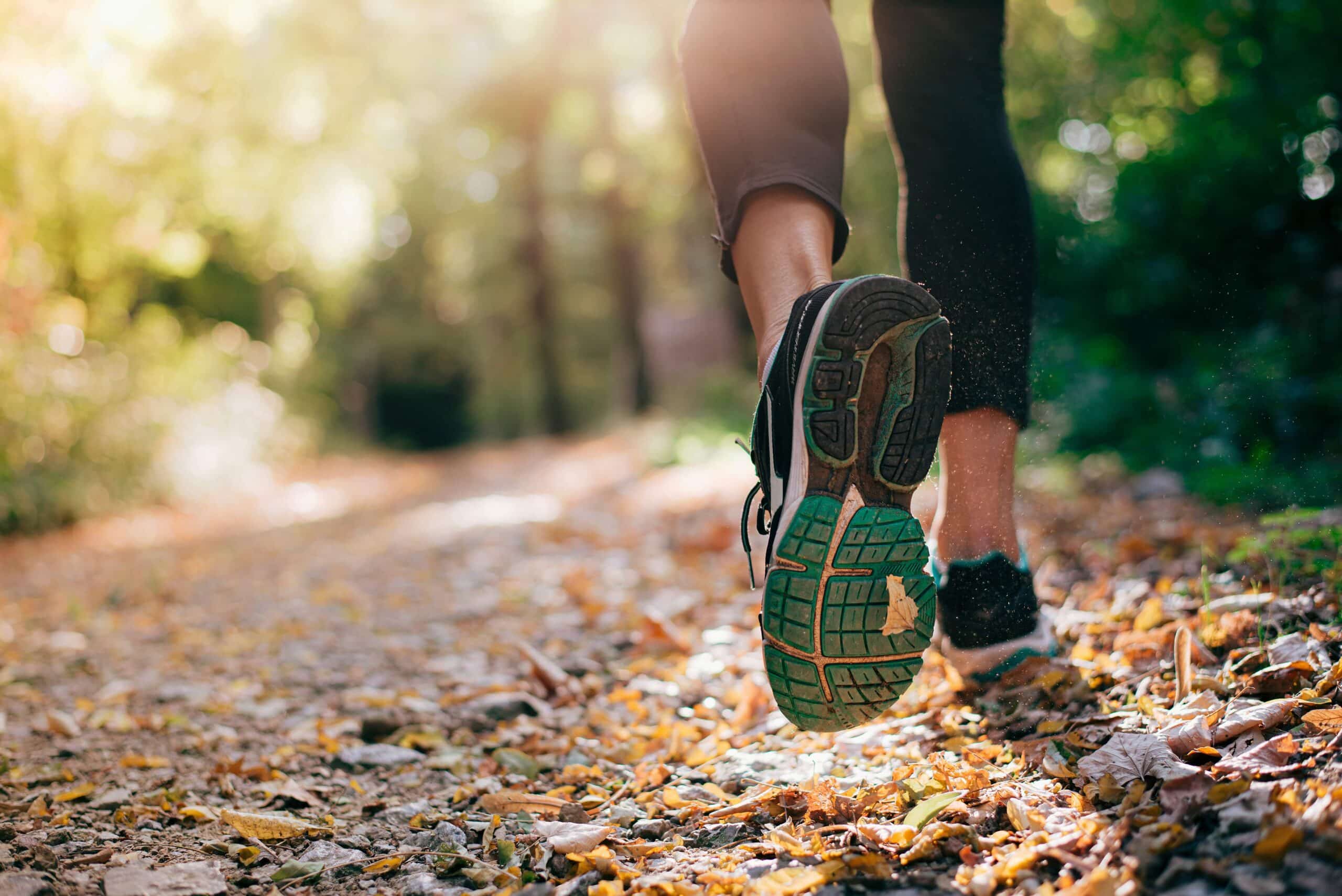 Laufschuhe von hinten im Wald
