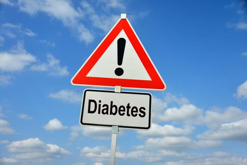 Diabetes, Zuckerkrankheit, Übergewicht, Lebensweise, Bewegungsmangel, Schild, Achtung, Warnung, Verkehrsschild, Symbol, symbolisch, Zucker, Insulin, Insulinmangel, Blutzucker, Blutzuckerkrankheit, Gesundheit, Krankheit, Autoimmunkrankheit, Stoffwechsel, Blutzuckerspiegel, Hyperglykämie, Zuckerstoffwechsel, Warnschild, Fettsucht, Medizin, Blutzuckertest, Diabetiker, Diät, Volkskrankheit, Krankenkasse, Fehlernährung, Insulinresistenz, Zuckerstoffwechsel, Körperfett, übergewichtig, Risikofaktoren, Ernährung, Fast Food, Gewicht, Gene, Bewegungsmangel, Sport, Hamburg, Mai 2016, Bild Nr.: N53119A5