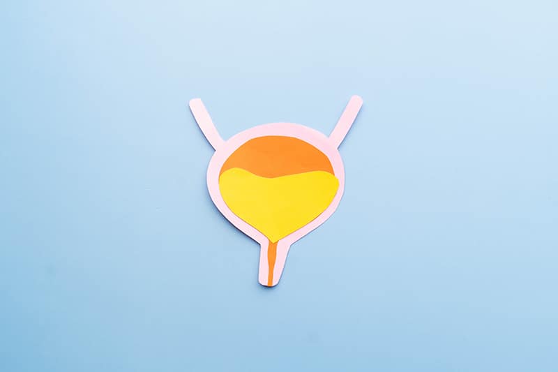 Bladder organ shape made from paper on light blue background. Awareness of bladder cancer, urinary tract infection, urinary incontinence and overactive bladder.