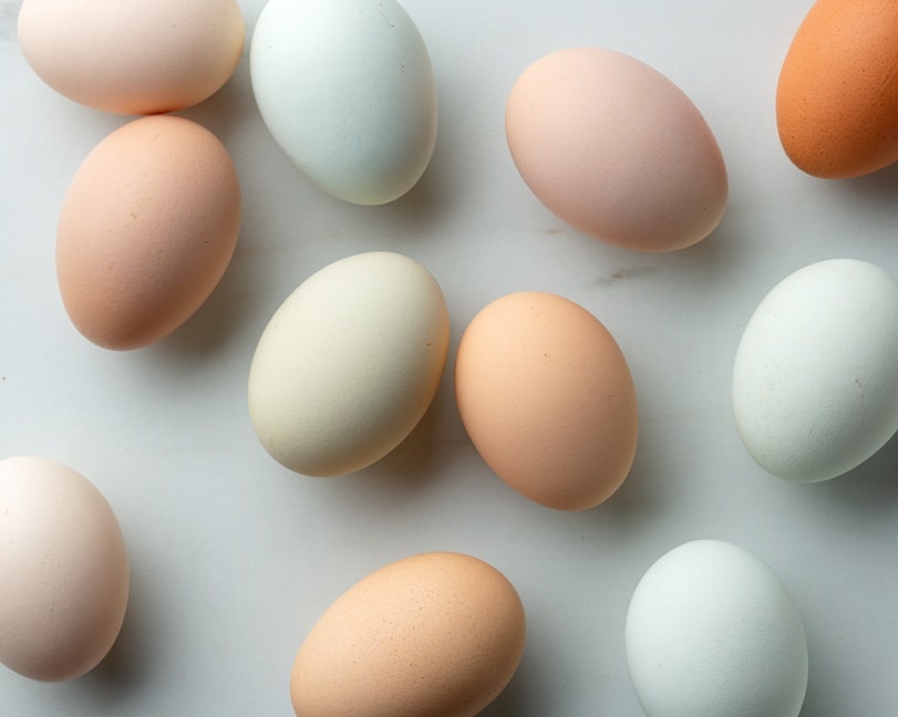 fresh raw bio eggs