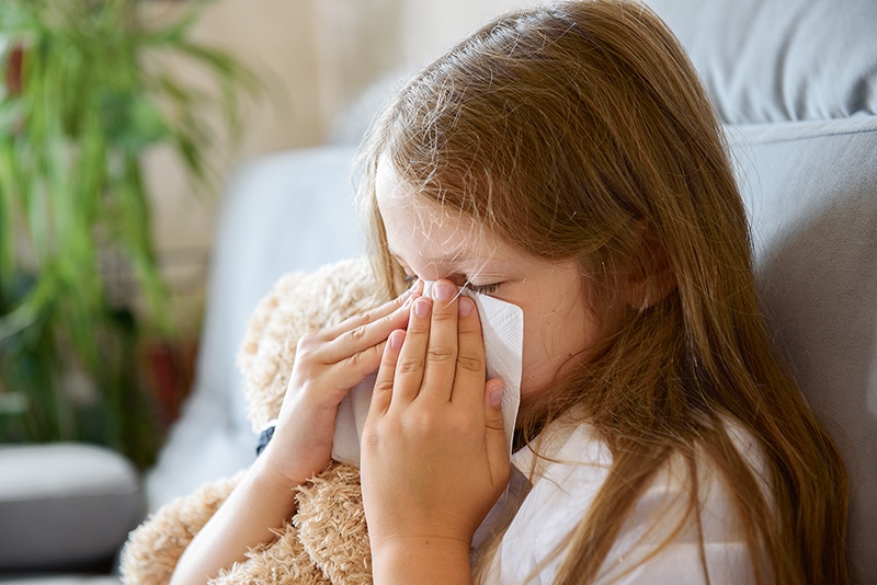 the girl sits hugging a soft toy and sneezes. Allergy to house dust mites