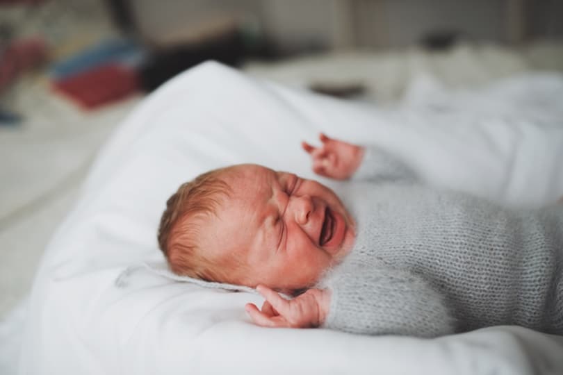 sweet newborn crying baby